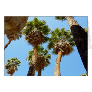 Oas Palm i Joshua Tree National Park Hälsningskort