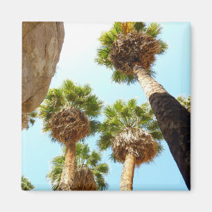 Oas Palm i Joshua Tree National Park Magnet