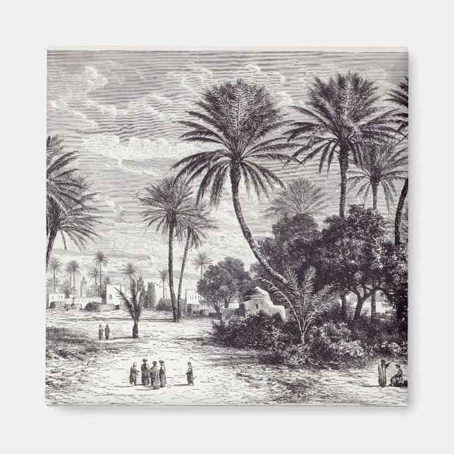 Oasis Gafsa: Tunis Magnet (Framsidan)