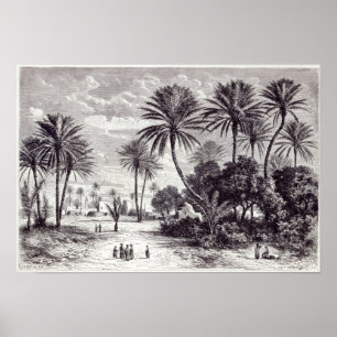 Oasis Gafsa: Tunis Poster