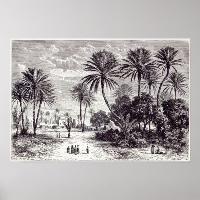 Oasis Gafsa: Tunis Poster (Framsidan)