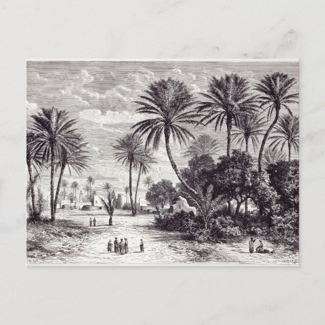 Oasis Gafsa: Tunis Vykort (Framsida)