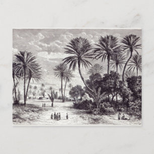 Oasis Gafsa: Tunis Vykort