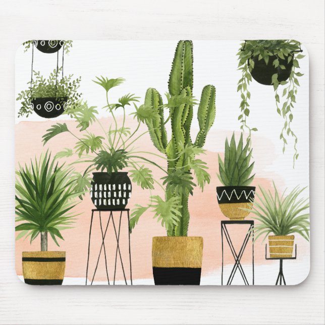 Oasis inomhus musmatta (Framsidan)