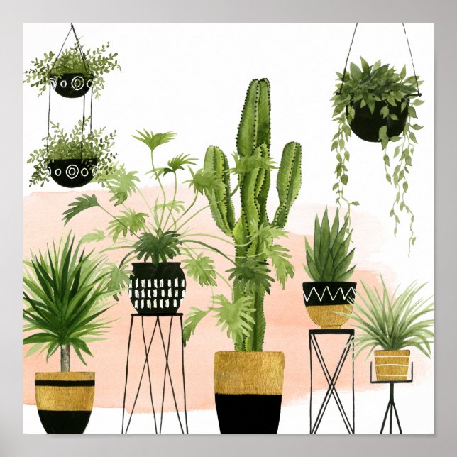 Oasis inomhus poster (Framsidan)