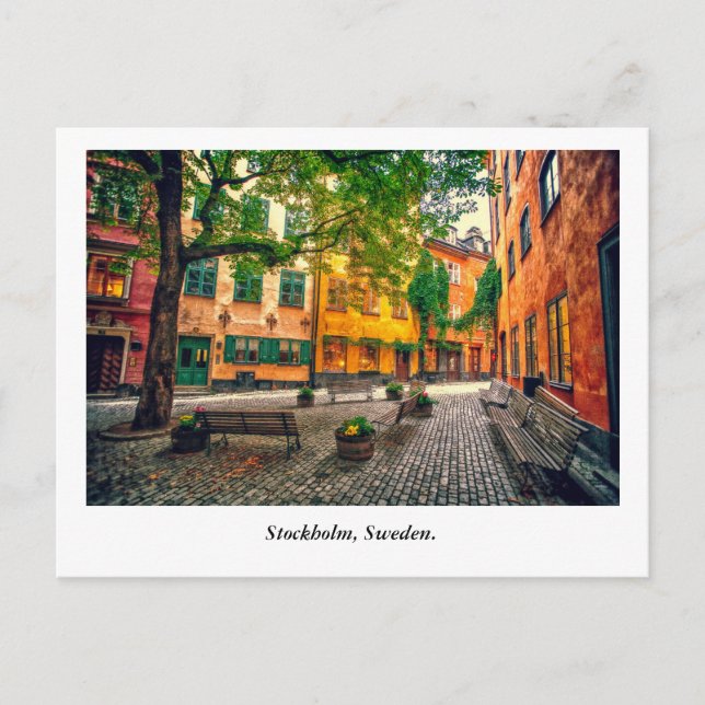 Oasis Vykort (Framsida)