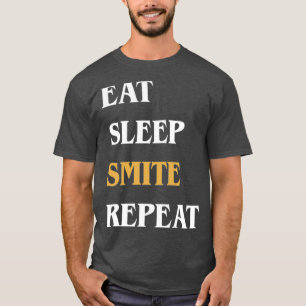 Öat viloläge Sint Upprepa Funny Paladin T Shirt