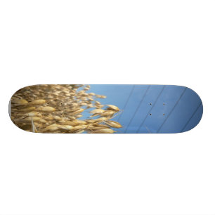 Oatsväxt Skateboard Bräda 20,5 Cm