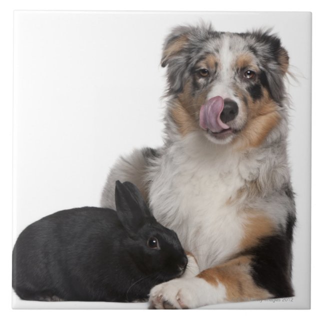 Oavbrutet tjata (årig 1) att ljuga bredvid en kakelplatta (Framsidan)