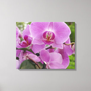 Oavkortad bloom. för härlig purpurfärgad orchid canvastryck