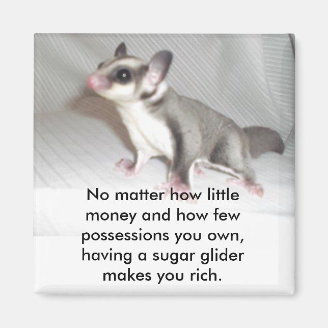 Oavsett hur lite pengar och hur mycket.. magnet (Framsidan)