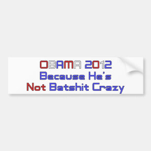 OBAMA 2012 BILDEKAL