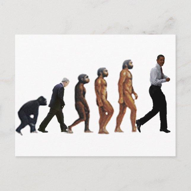Obama Evolution Vykort (Framsida)