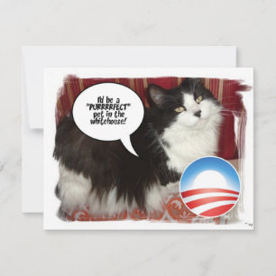 Obama Pet/Politiskt humor