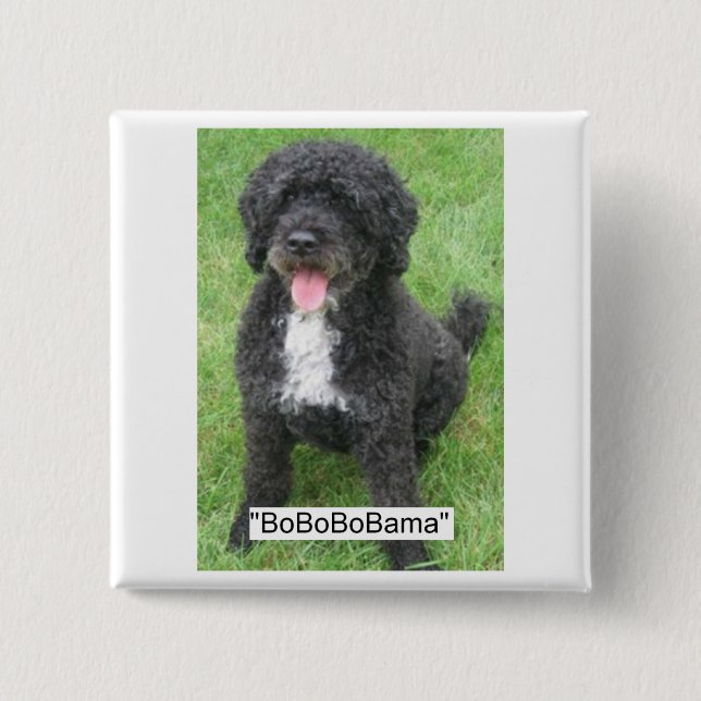Obama Pet Vatten hund Knapp (Framsida)