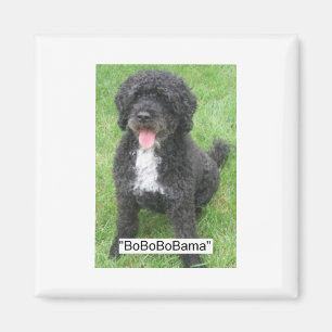 Obama Pet Vatten hund Magnet