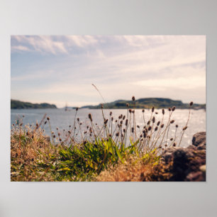 Oban Waterfront Poster