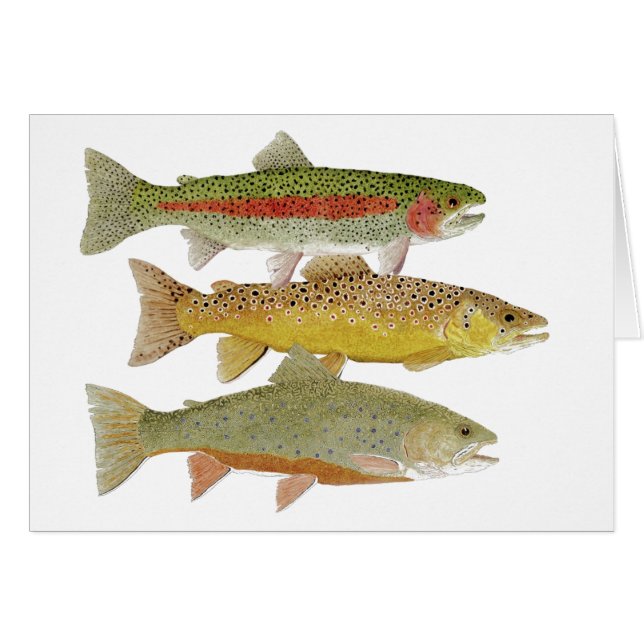 Obegränsat kort för Cumberland dalforell (Framsidan Horizontal)