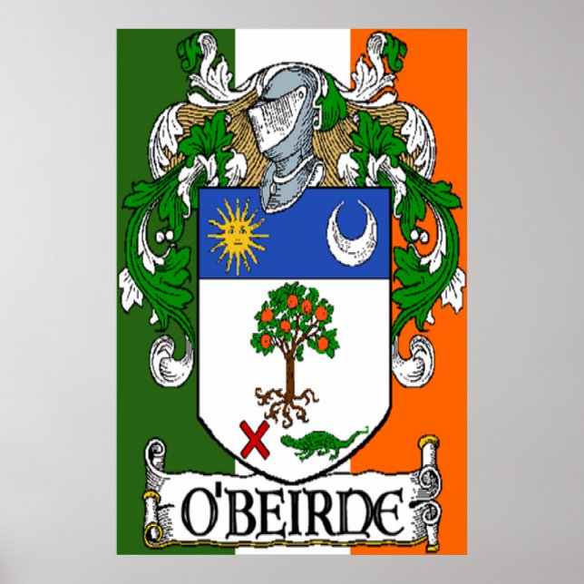O'Beirne Jackar om Arm Irish Flagga Print Poster (Framsidan)