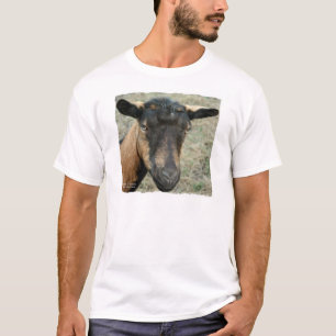 Oberhasli brunt gethuvud som skjutas i färg t shirt