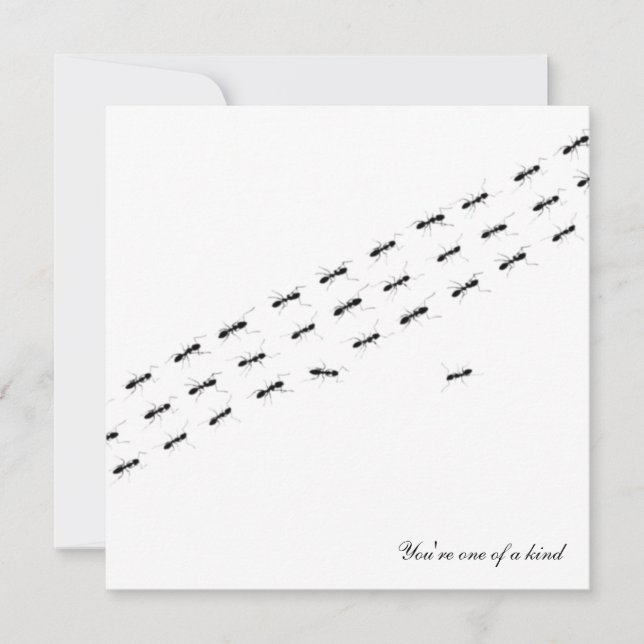 Oberoende Ants vykort (Framsida)