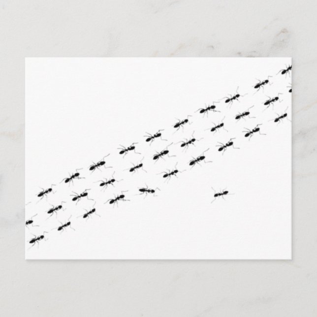 Oberoende Ants Vykort (Framsida)