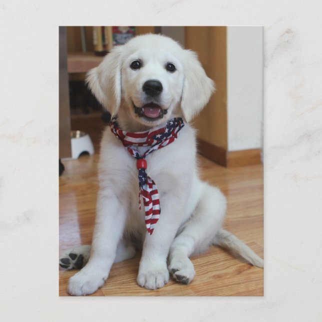 Oberoende dag, 4 juli vykort (Framsida)