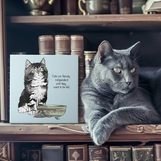 Oberoende Grå Tabby Blå Söt Rolig Katt Kakelplatta (Skapare uppladdad)