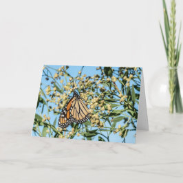 Oberoende-kortet Kort