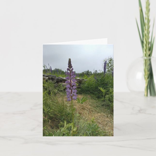 Oberoende Lila Lupine-anteckningskort Tack Kort (Framsida)