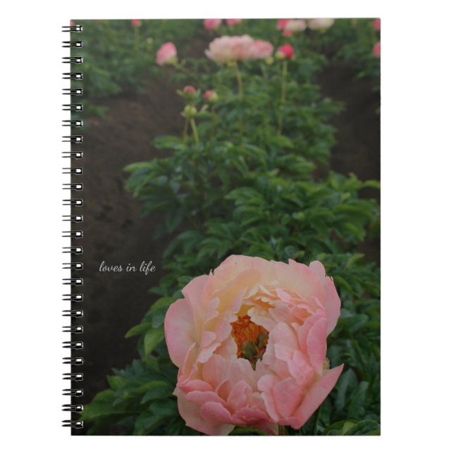 Oberoende Rosa Peony Anteckningsbok (Framsidan)