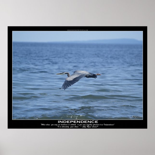 OBEROENDE Underbar Blue Heron Motivational Poster (Framsidan)