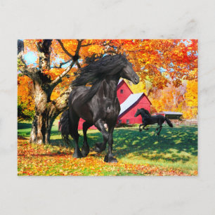 ’Oberon in Autumn’ Vykort