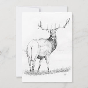 Obeslutsam - 4,5 x 6,25-tums inbjudan