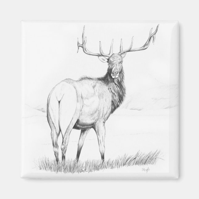 Obeslutsamhet - Elk Magnet (Framsidan)