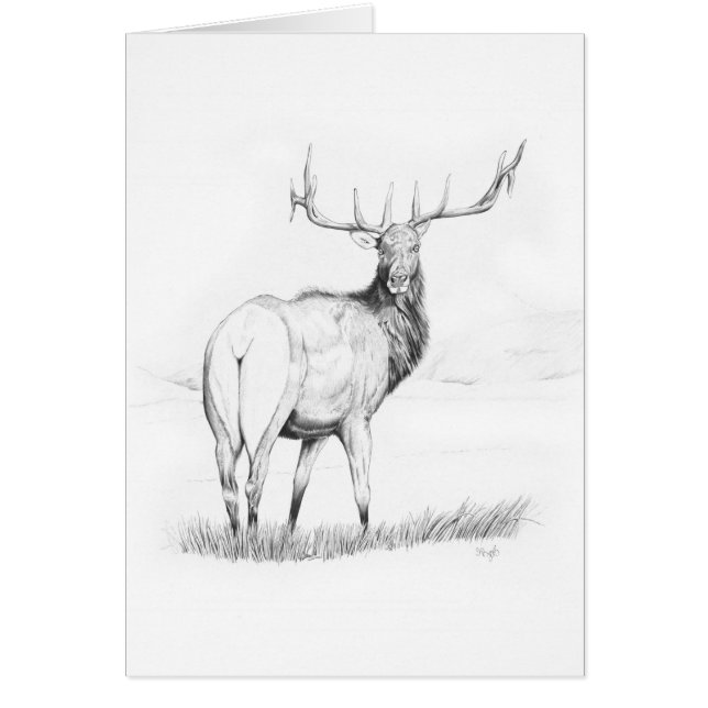 Obeslutsamhet Hälsningskort (Framsidan)