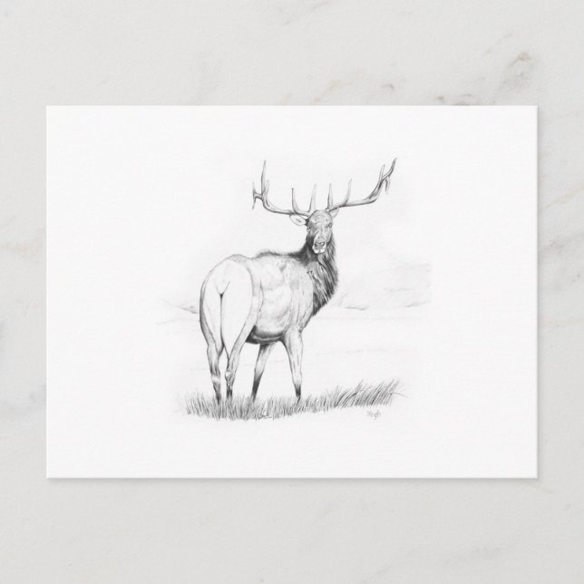 Obeslutsamhet Vykort (Framsida)