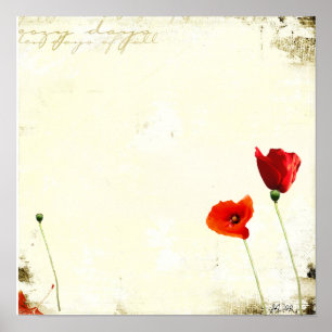 obetitlat poster