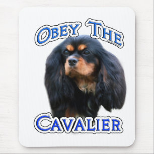 Obey Cavalier Musmatta
