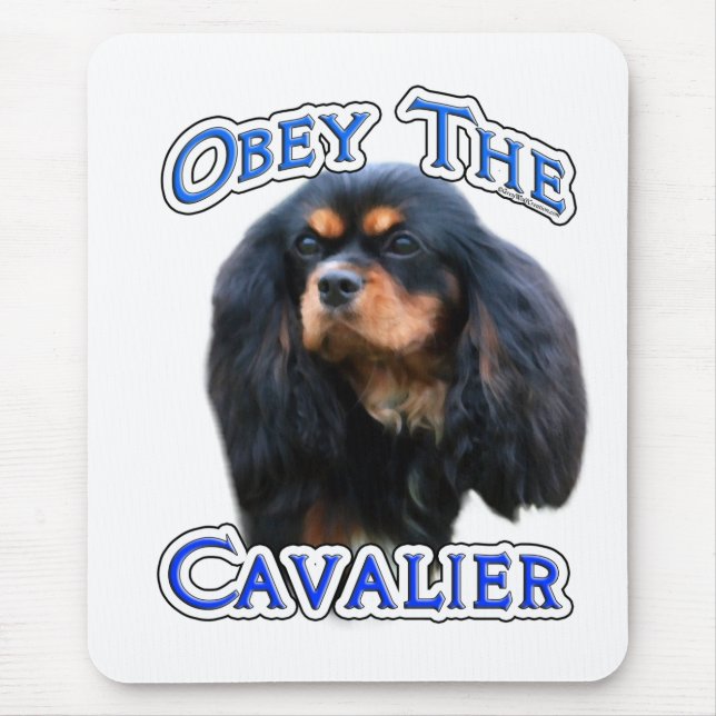 Obey Cavalier Musmatta (Framsidan)