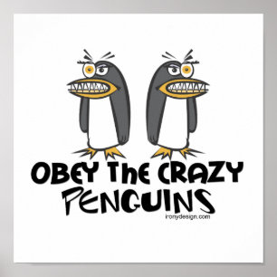 Obey de galna Penguins! Poster