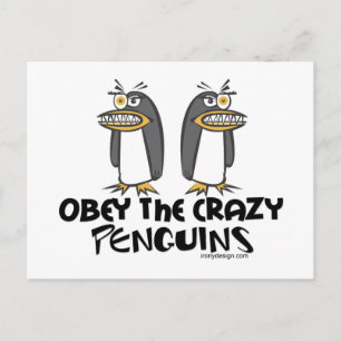 Obey de galna Penguins! Vykort