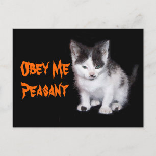 Obey Me Peasant Vykort