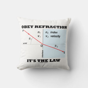 Obey Refraaction Det är Lag Physics Geek Humor Kudde