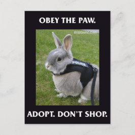 Obey Tass vykort