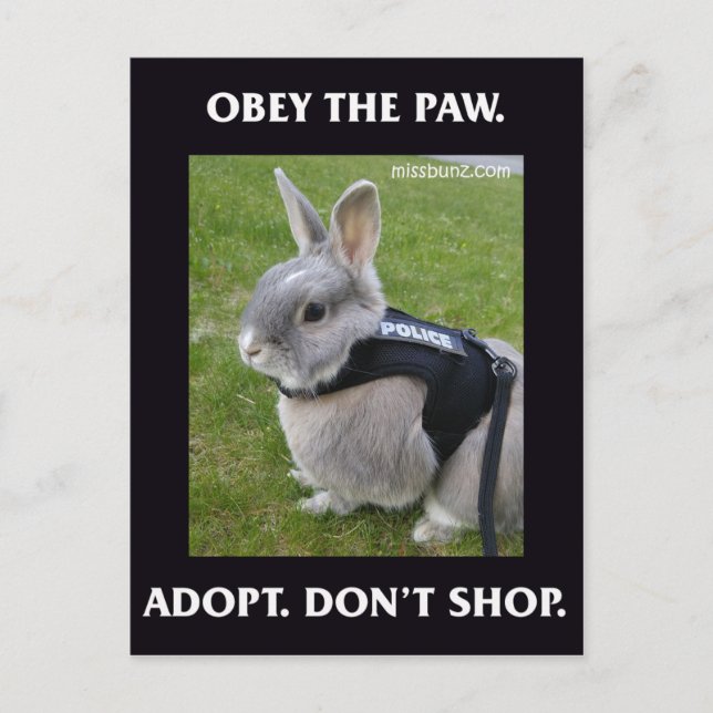 Obey Tass vykort (Framsida)