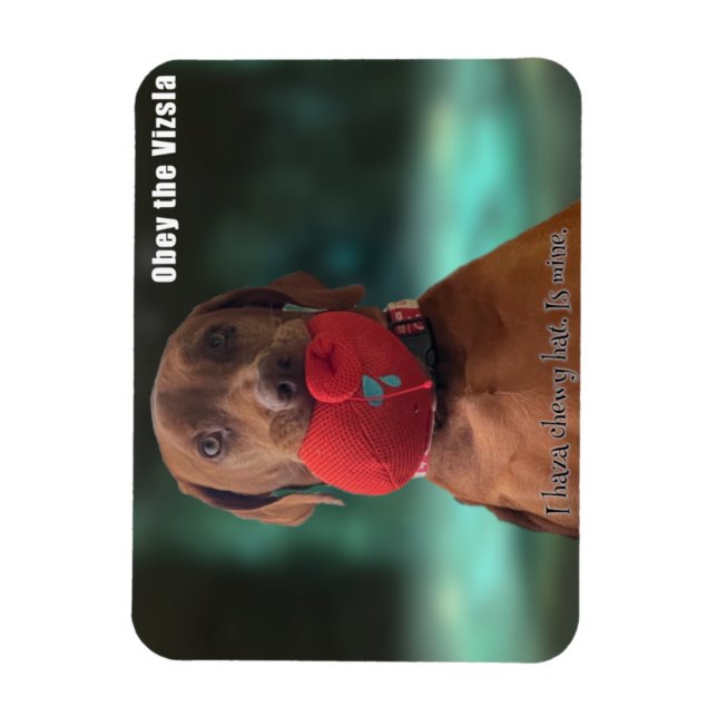 Obey the Vizsla Chewy Hat Magnet (Vertikal)