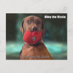 Obey the Vizsla Vykort