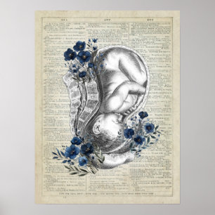 OBGYN Gift Anatomy of Baby in Womb w/ Blue Blommig Poster