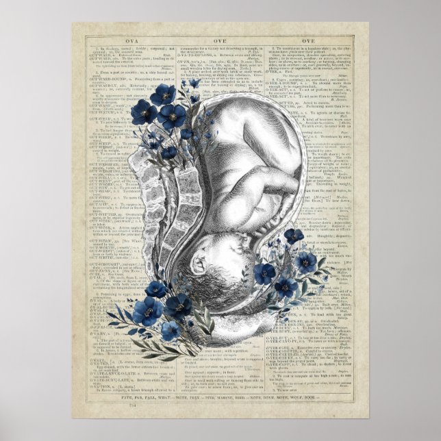 OBGYN Gift Anatomy of Baby in Womb w/ Blue Blommig Poster (Framsidan)